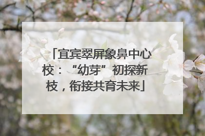 宜宾翠屏象鼻中心校：“幼芽”初探新枝，衔接共育未来