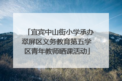 宜宾中山街小学承办翠屏区义务教育第五学区青年教师晒课活动