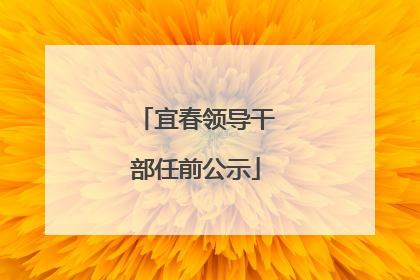 宜春领导干部任前公示