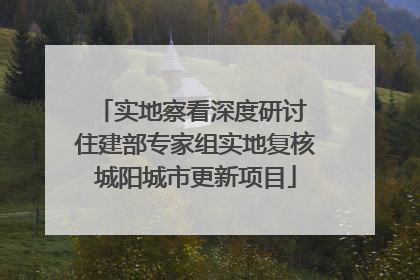 实地察看深度研讨 住建部专家组实地复核城阳城市更新项目