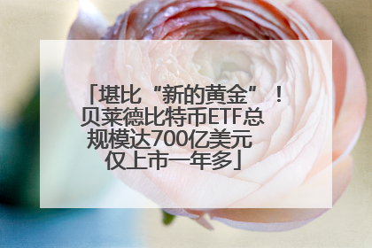 堪比“新的黄金”！贝莱德比特币ETF总规模达700亿美元 仅上市一年多