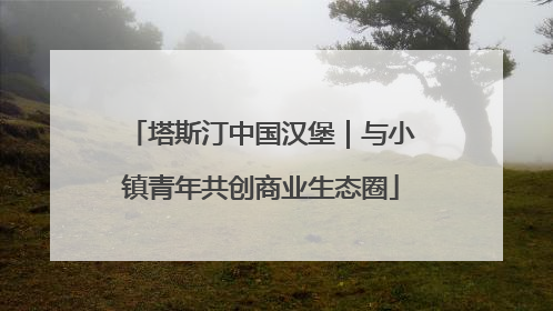 塔斯汀中国汉堡｜与小镇青年共创商业生态圈