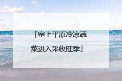 塞上平原冷凉蔬菜进入采收旺季