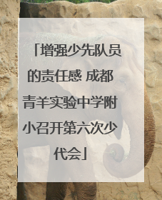 增强少先队员的责任感 成都青羊实验中学附小召开第六次少代会