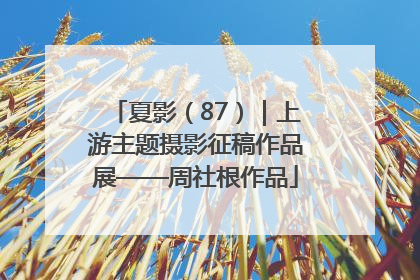 夏影（87）｜上游主题摄影征稿作品展——周社根作品