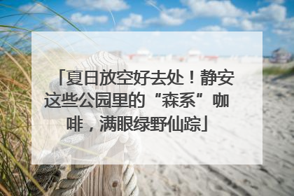 夏日放空好去处！静安这些公园里的“森系”咖啡，满眼绿野仙踪
