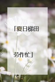 夏日梯田劳作忙