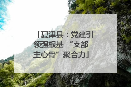 夏津县：党建引领强根基 “支部主心骨”聚合力