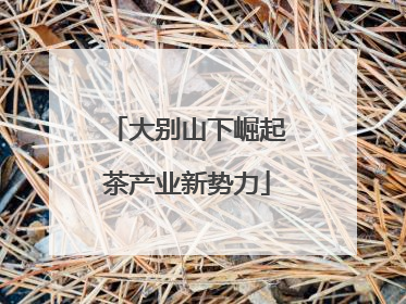 大别山下崛起茶产业新势力