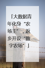 大数据青年化身“农场主”，返乡开设“数字农场”