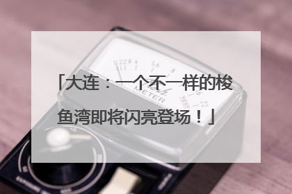 大连：一个不一样的梭鱼湾即将闪亮登场！