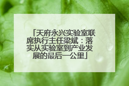 天府永兴实验室联席执行主任梁斌：落实从实验室到产业发展的最后一公里