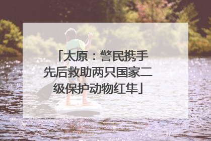 太原：警民携手 先后救助两只国家二级保护动物红隼
