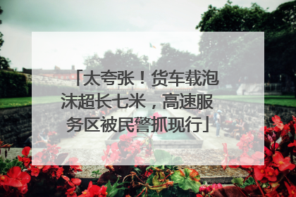 太夸张！货车载泡沫超长七米，高速服务区被民警抓现行