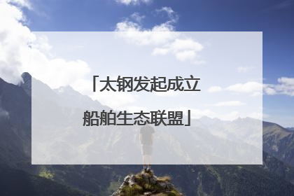 太钢发起成立船舶生态联盟