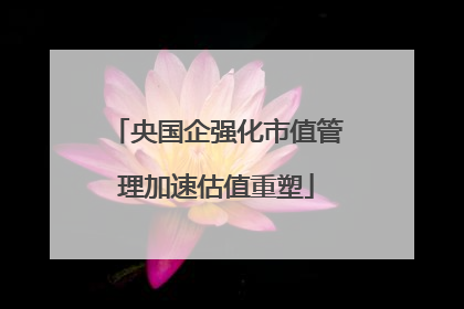 央国企强化市值管理加速估值重塑