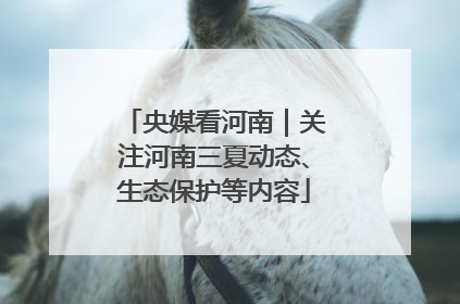 央媒看河南｜关注河南三夏动态、生态保护等内容