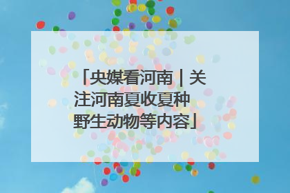 央媒看河南｜关注河南夏收夏种 野生动物等内容
