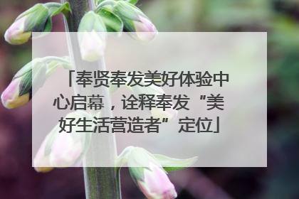 奉贤奉发美好体验中心启幕，诠释奉发“美好生活营造者”定位
