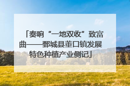 奏响“一地双收”致富曲——鄄城县董口镇发展特色种植产业侧记