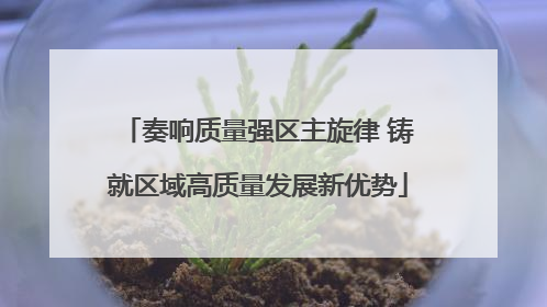 奏响质量强区主旋律 铸就区域高质量发展新优势