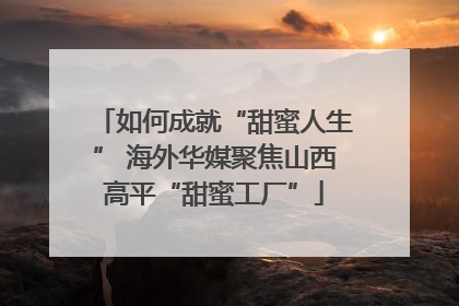如何成就“甜蜜人生” 海外华媒聚焦山西高平“甜蜜工厂”