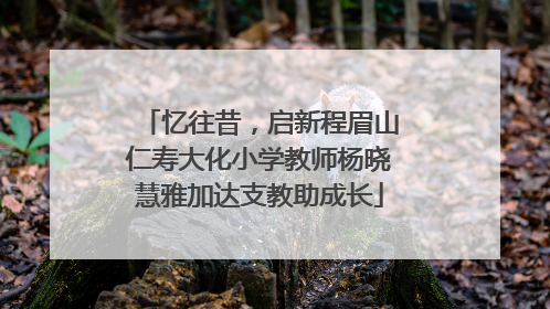 忆往昔，启新程眉山仁寿大化小学教师杨晓慧雅加达支教助成长