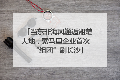 当东非海风邂逅湘楚大地，索马里企业首次“组团”刷长沙