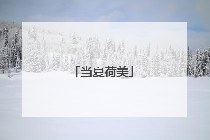 当夏荷美