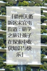 德州天衢新区宋官屯街道：研学之旅让孩子在探索中收获知识与快乐