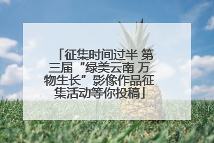 征集时间过半 第三届“绿美云南 万物生长”影像作品征集活动等你投稿