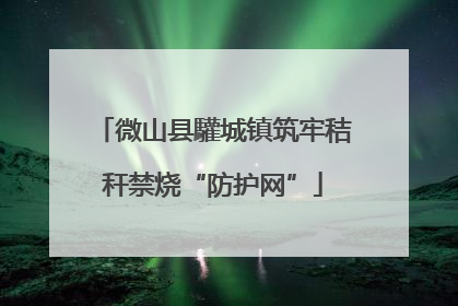 微山县驩城镇筑牢秸秆禁烧“防护网”