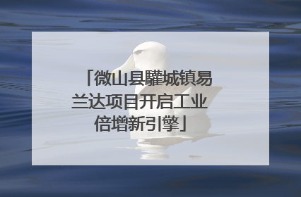 微山县驩城镇易兰达项目开启工业倍增新引擎
