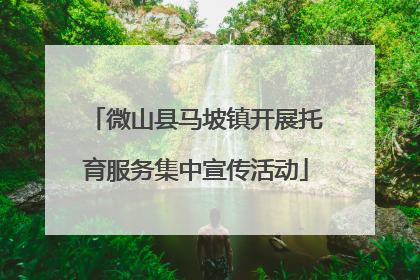 微山县马坡镇开展托育服务集中宣传活动