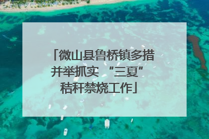 微山县鲁桥镇多措并举抓实 “三夏” 秸秆禁烧工作