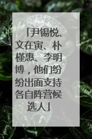 尹锡悦、文在寅、朴槿惠、李明博，他们纷纷出面支持各自阵营候选人