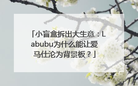 小盲盒拆出大生意：Labubu为什么能让爱马仕沦为背景板？