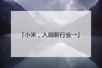 小米，入局新行业→