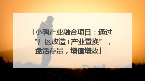 小鸭产业融合项目：通过“厂区改造+产业置换”，盘活存量，增值增效