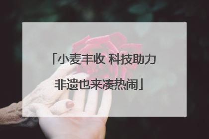 小麦丰收 科技助力 非遗也来凑热闹