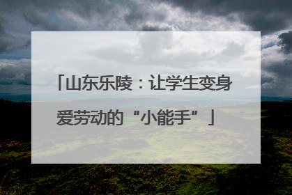 山东乐陵：让学生变身爱劳动的“小能手”