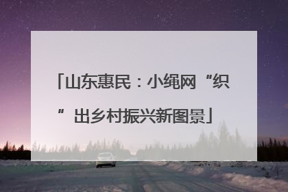 山东惠民：小绳网“织”出乡村振兴新图景