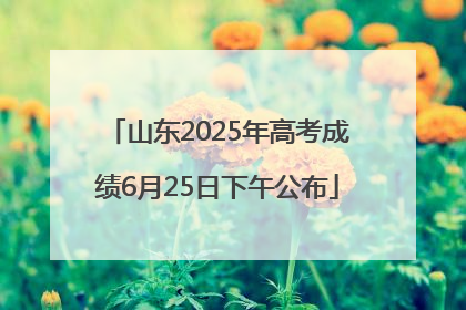 山东2025年高考成绩6月25日下午公布