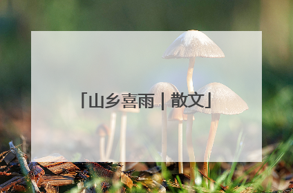 山乡喜雨｜散文
