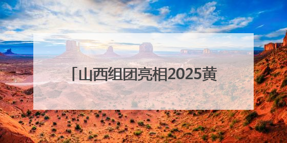 山西组团亮相2025黄河流域跨境电商博览会 加速推动“晋品出海”