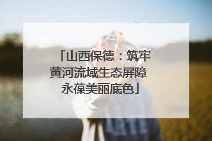 山西保德：筑牢黄河流域生态屏障 永葆美丽底色