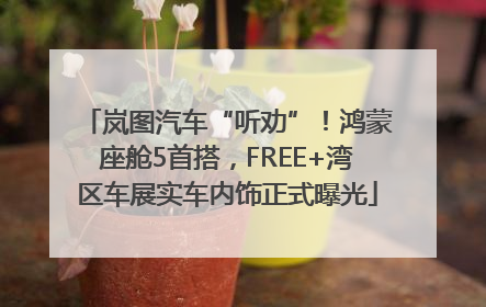 岚图汽车“听劝”！鸿蒙座舱5首搭，FREE+湾区车展实车内饰正式曝光