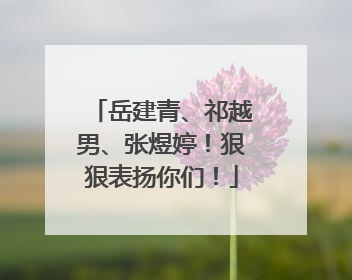岳建青、祁越男、张煜婷！狠狠表扬你们！