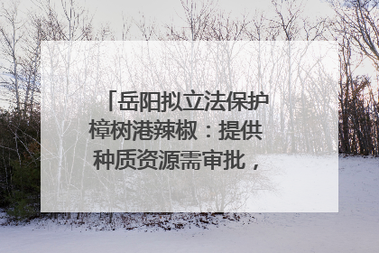 岳阳拟立法保护樟树港辣椒：提供种质资源需审批，违规最高罚5万