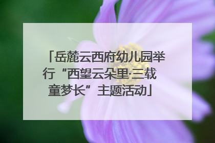 岳麓云西府幼儿园举行“西望云朵里·三载童梦长”主题活动